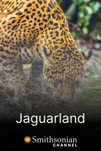 Jaguarland 2020