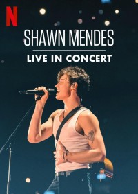 Shawn Mendes: Trực tiếp tại buổi hòa nhạc 2020